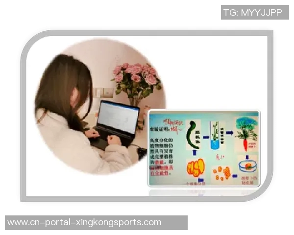 小学体育课教学反思与改进策略探讨促进学生身心健康发展的有效途径